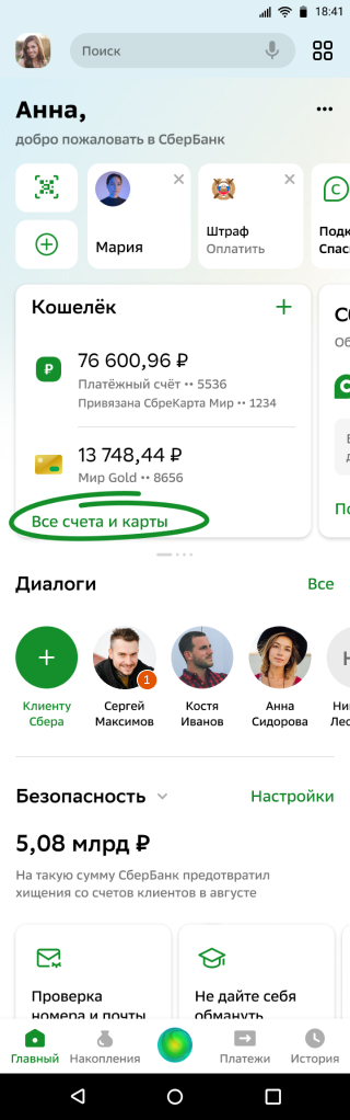 окно приложения sber pay